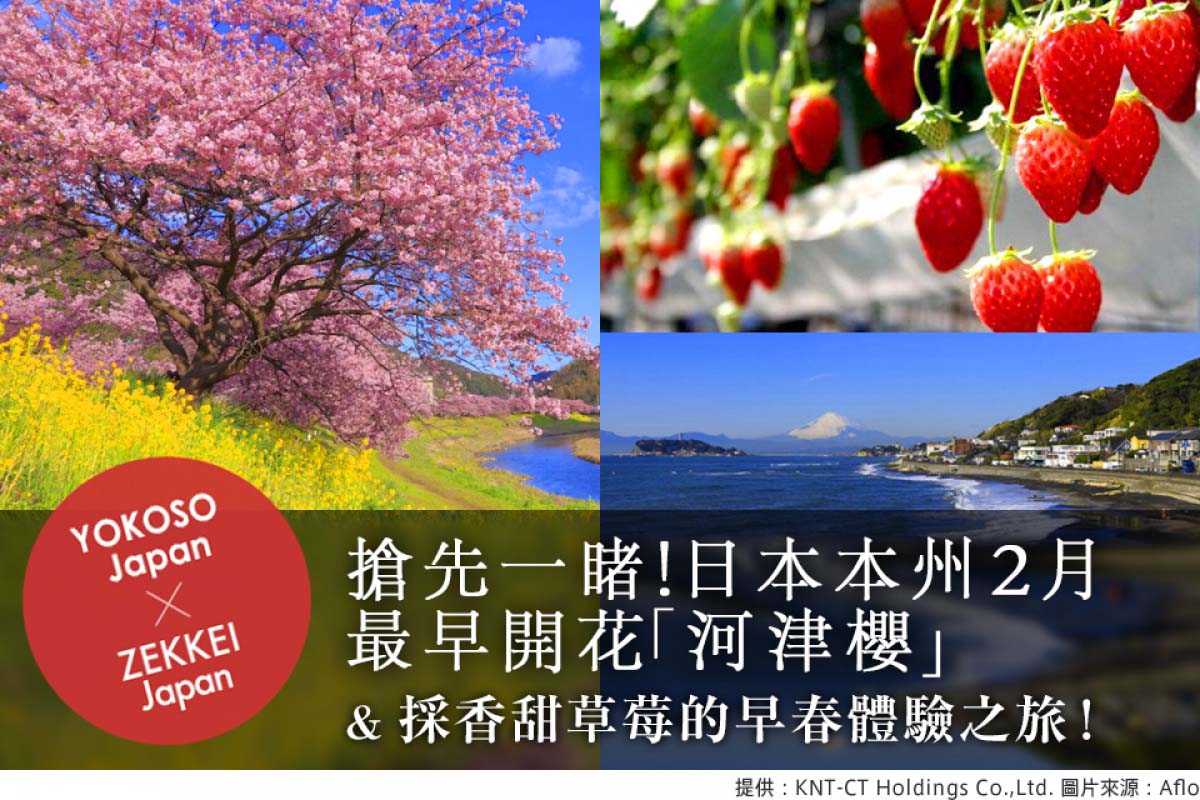 搶先一睹!日本本州2月最早開花「河津櫻」&採香甜草莓的早春體驗之旅!