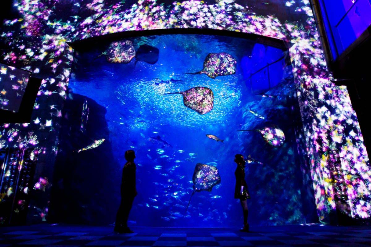 【ZEKKEI Event】Step Into a Fantasy World ShinEnoshima Aquarium’s “ENOSUI×teamLab Night Wonder