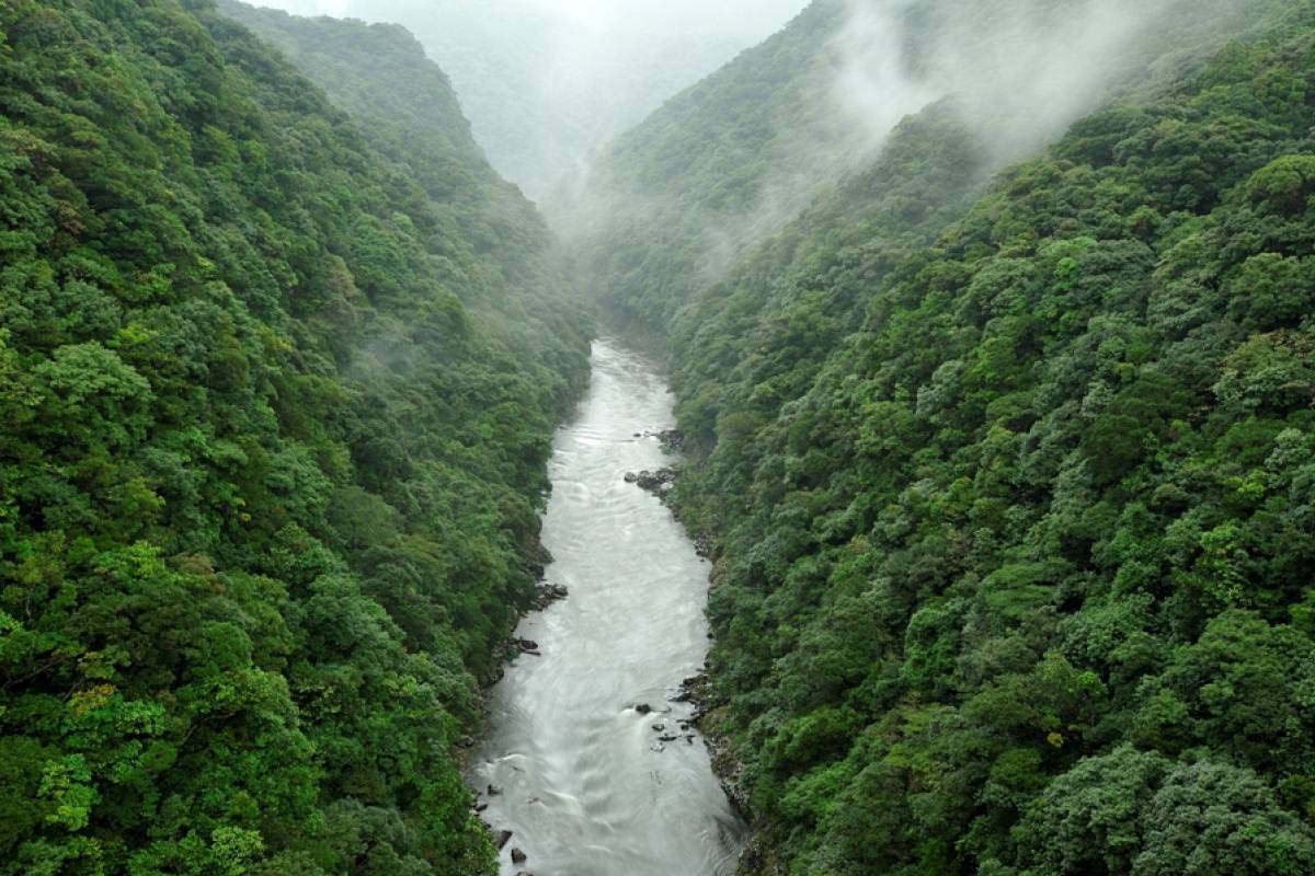 安房川の絶景|ZEKKEI Japan