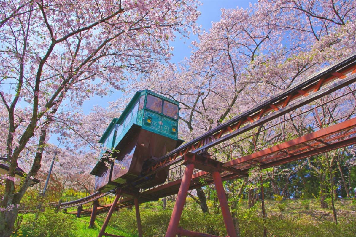 船岡城址公園の絶景|ZEKKEI Japan