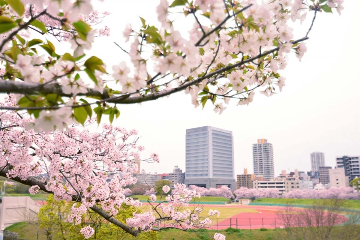 「大濠公園」的圖片搜尋結果