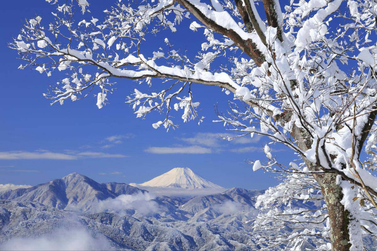 高尾山の絶景|ZEKKEI Japan
