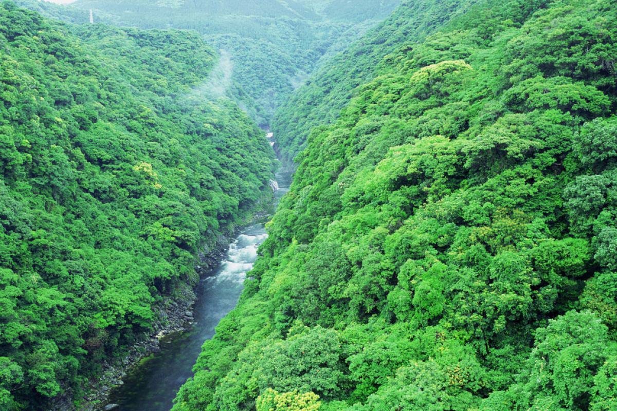 安房川の絶景|ZEKKEI Japan