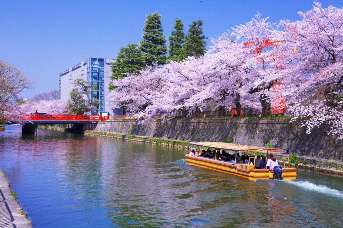 岡崎公園の絶景｜ZEKKEI Japan